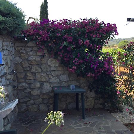 Studio-Appartment In Landhaus Mit Meerblick Porto Azzurro Exterior photo
